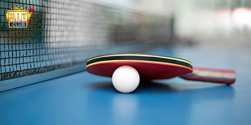 Luật cược bóng bàn về cơ bản không khó hiểu.